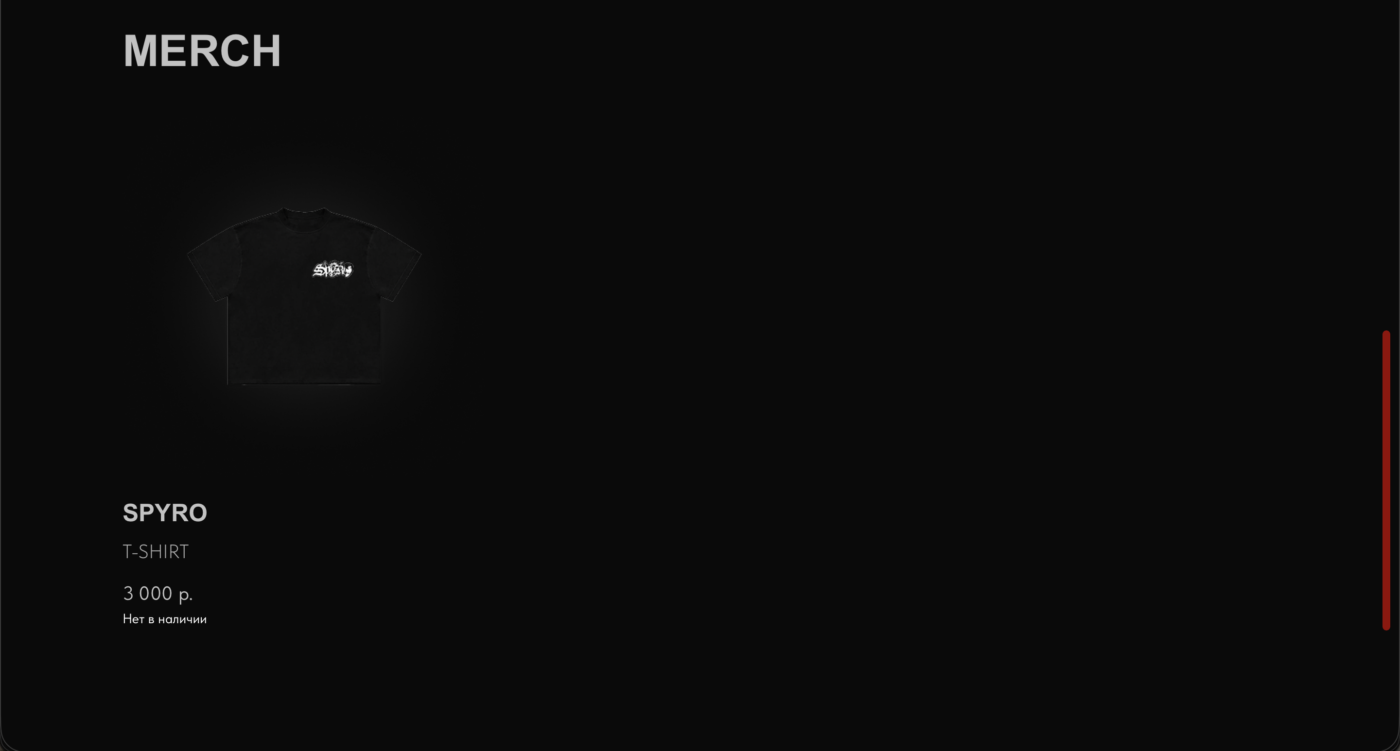 SPYROFOAM слайд 2